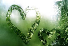 Ethereum Fusaka Goes Live Today: Will it ignite a Pectra-like rally and what's next for Ethereum?